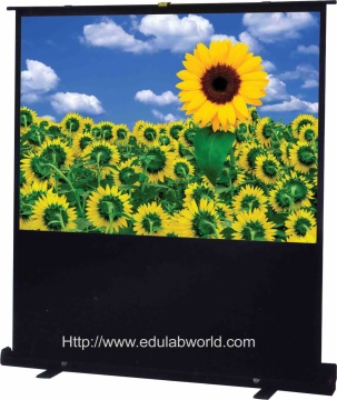 portable floor-up screen