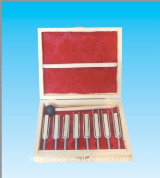 Tuning fork set