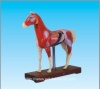 Horse acupuncture model