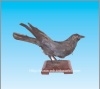 Crow specimen