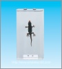 Gecko specimen