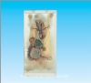 Rabbit dissection