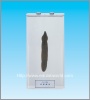 Leech dissection