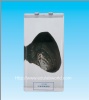 Mussel specimen